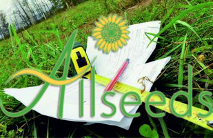 The major producer of sunflower oil Allseeds challenged in the court the allocation of land in Yuzhny sea port