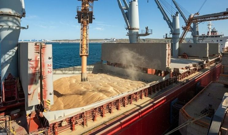 Украина увеличила экспорт зерновых более чем на 20%