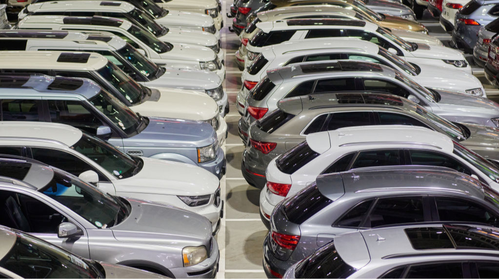 Цена инвестиций украинского стартапа Petcube