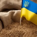 630_360_1695901156-316