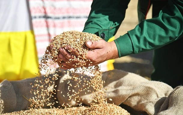 Black Sea Grain Blockade: World Could Lose 17% of Supplies